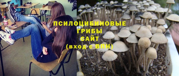 хмурый Алексеевка