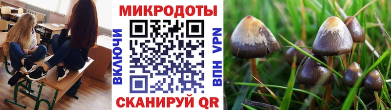 shop Telegram  Новоаннинский  Галлюциногенные грибы Cubensis 
